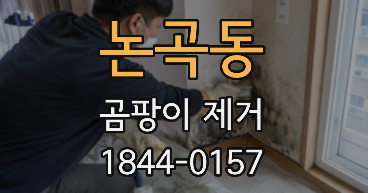 논곡동 곰팡이 제거