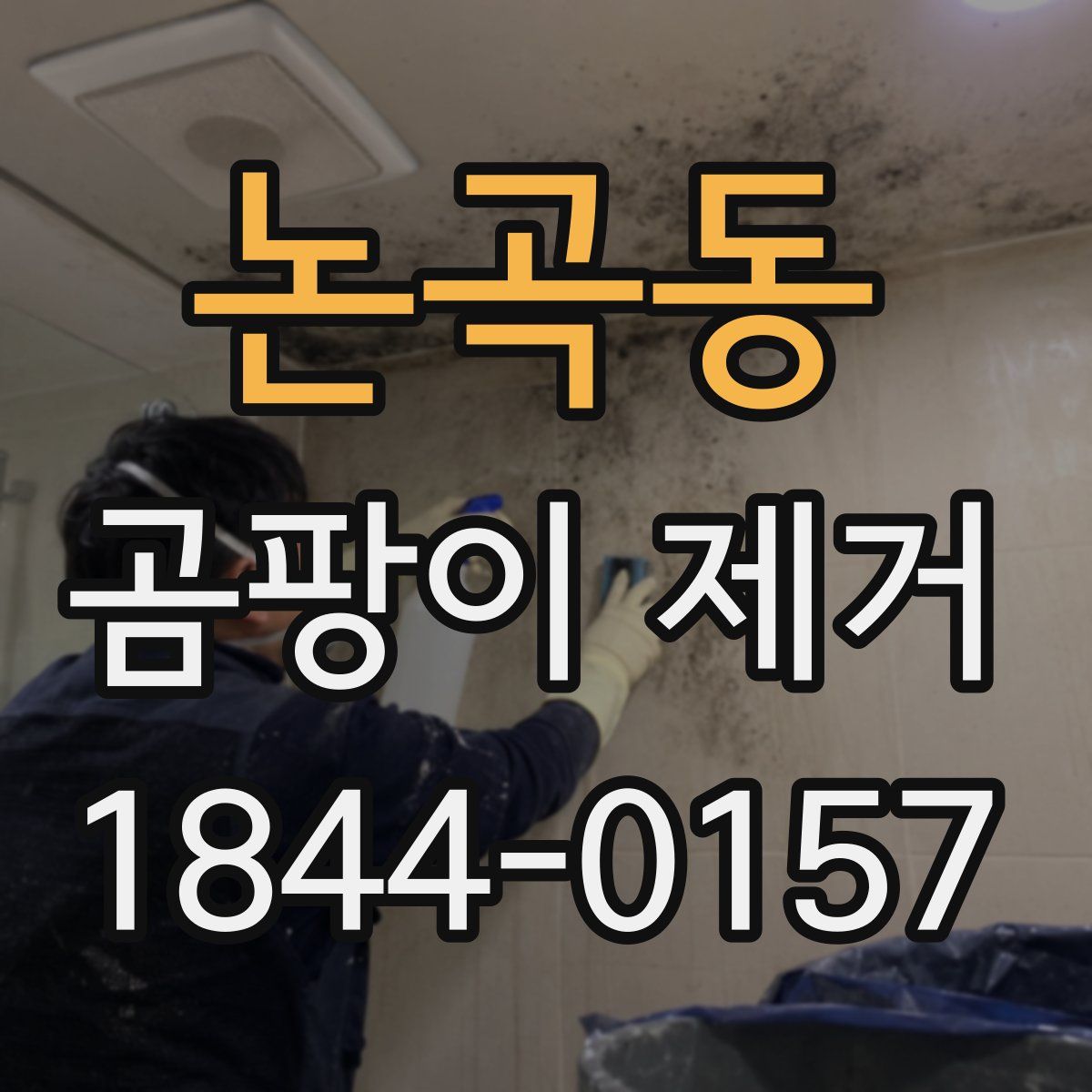 논곡동 곰팡이 제거