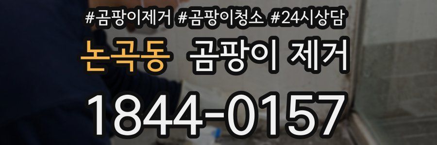 논곡동 곰팡이 제거