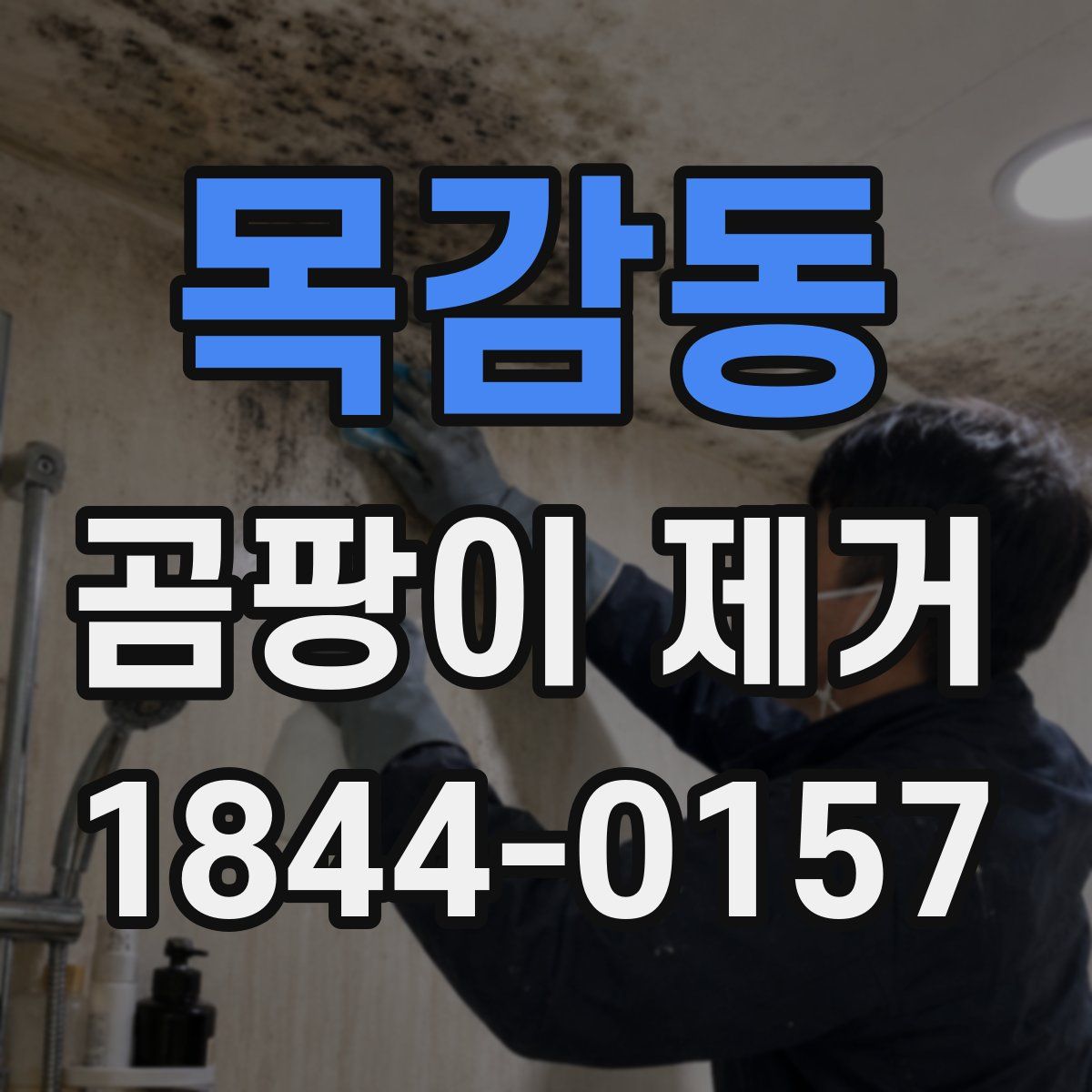 목감동 곰팡이 제거