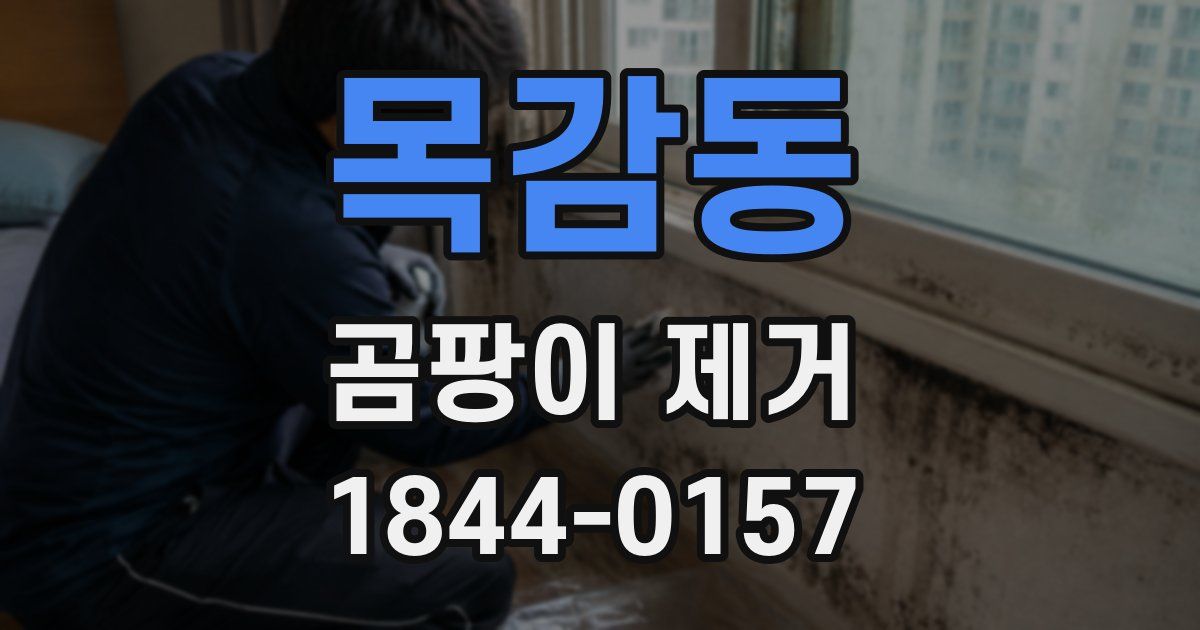 목감동 곰팡이 제거