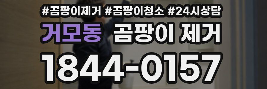 거모동 곰팡이 제거
