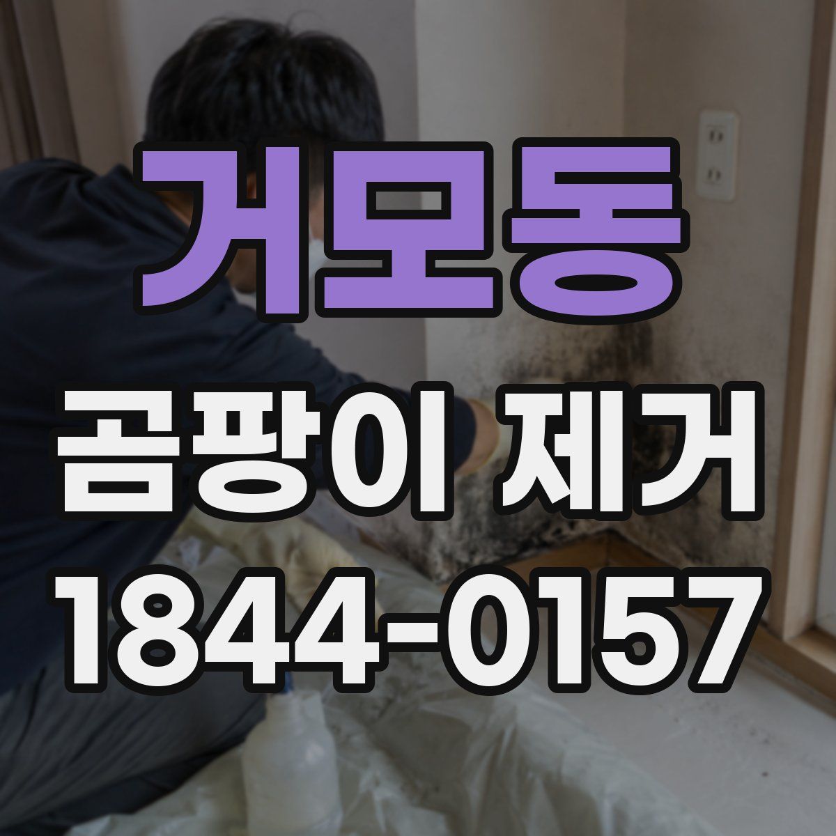 거모동 곰팡이 제거