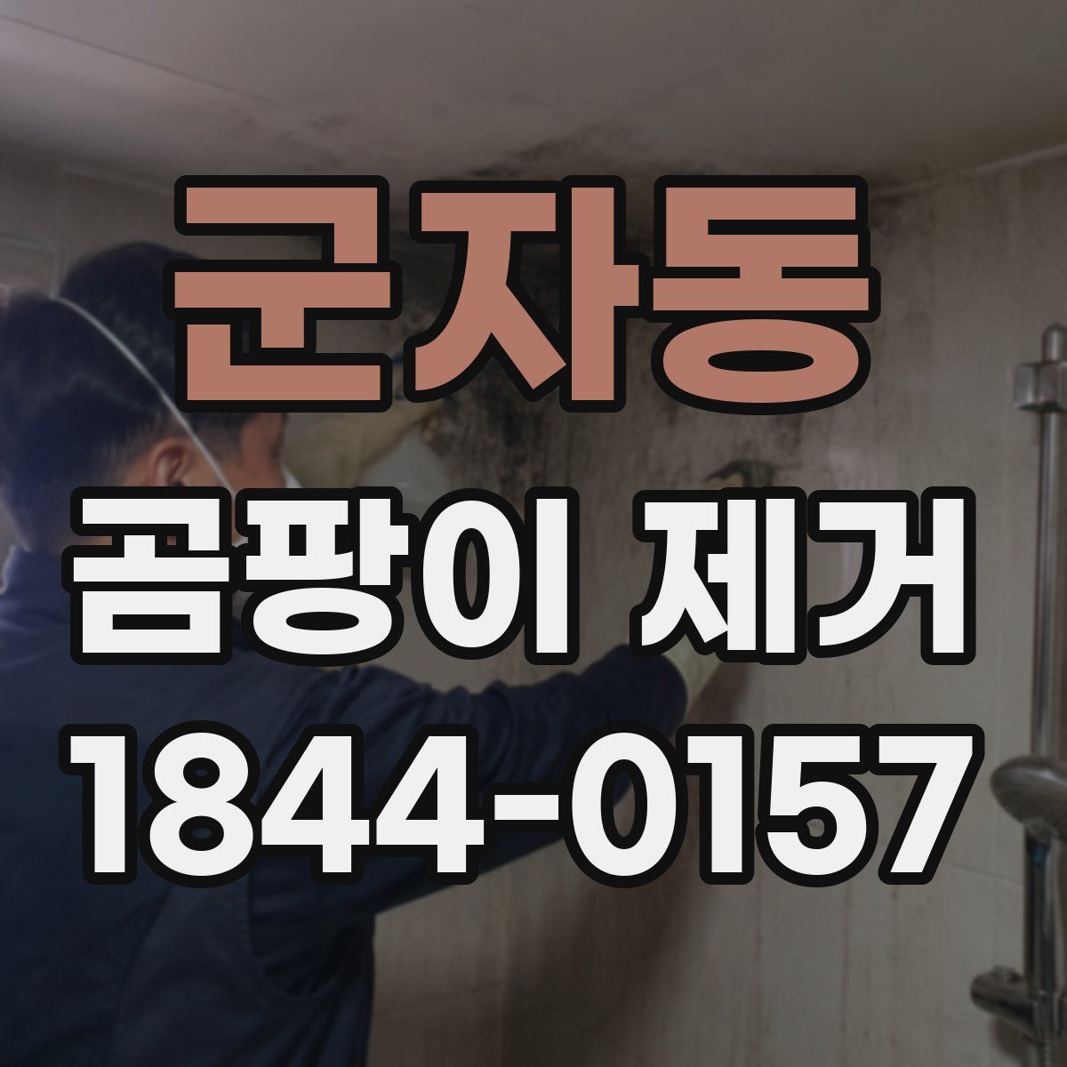 군자동 곰팡이 제거
