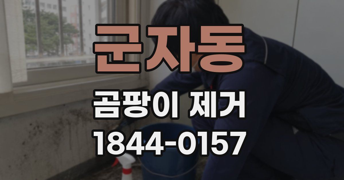 군자동 곰팡이 제거