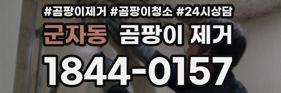 군자동 곰팡이 제거