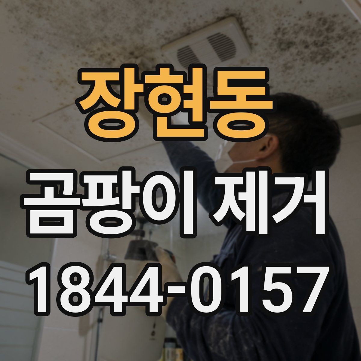 장현동 곰팡이 제거 안전수칙 먼저 챙겨야 하는 이유