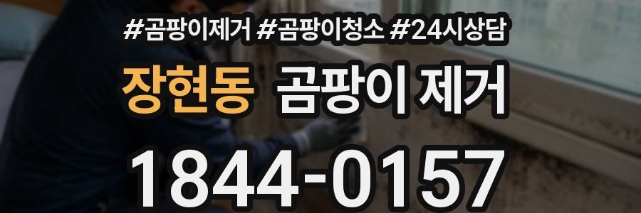 장현동 곰팡이 제거