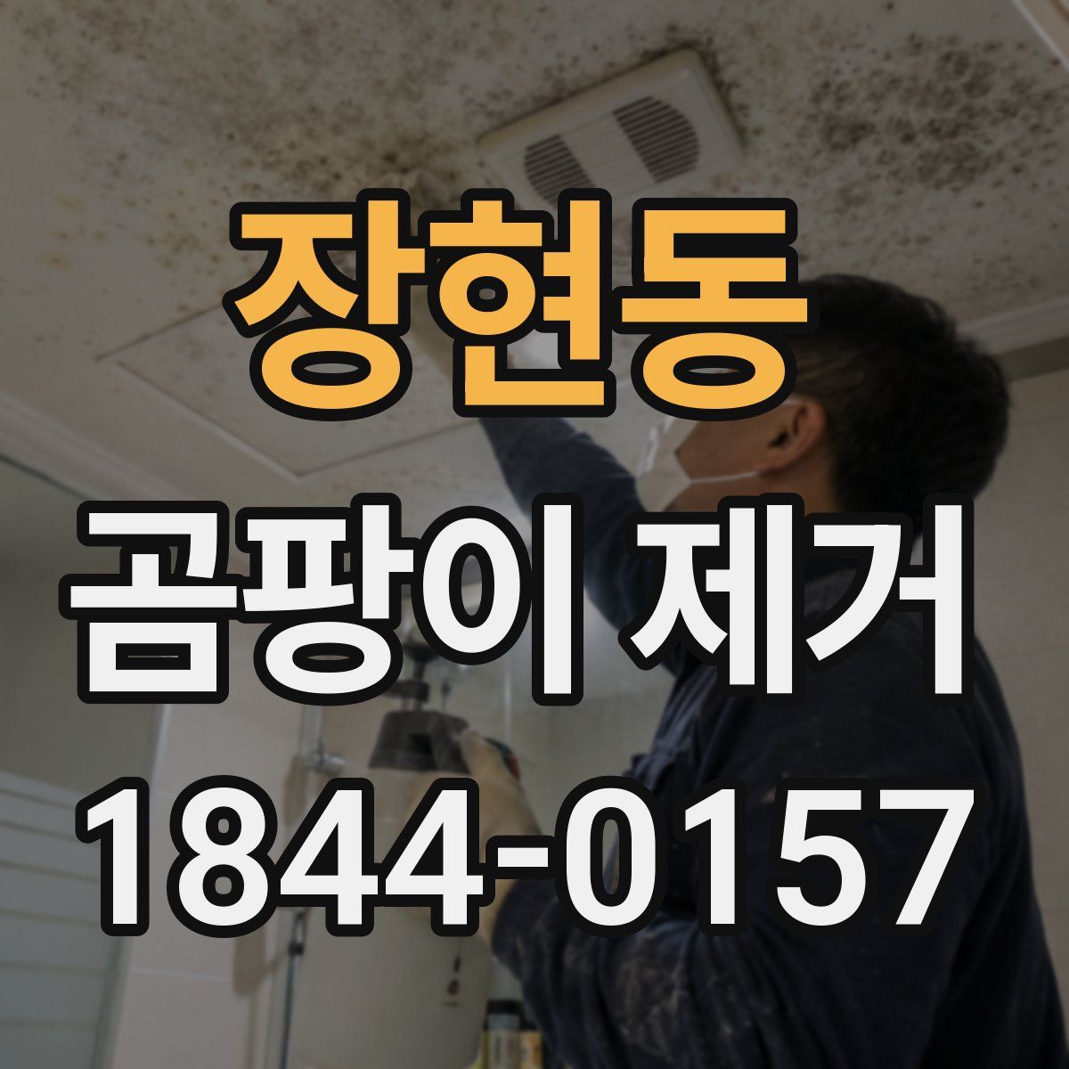장현동 곰팡이 제거