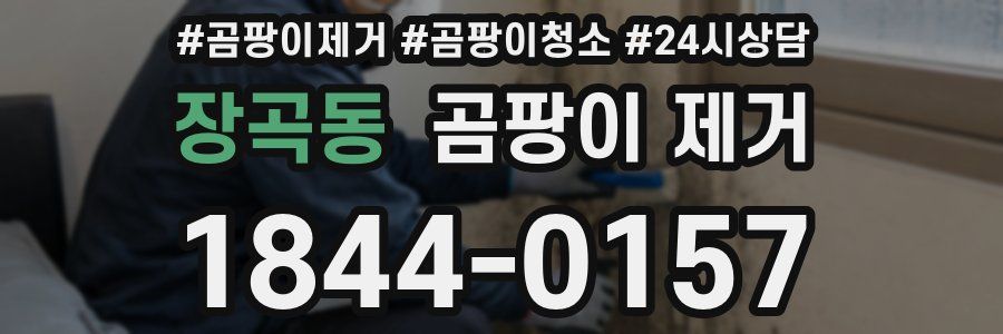 장곡동 곰팡이 제거