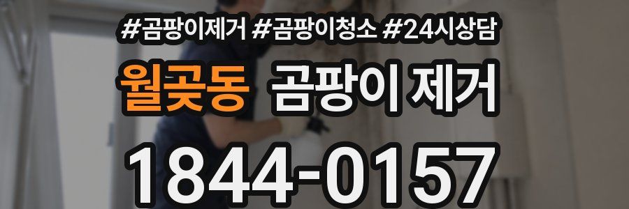 월곶동 곰팡이 제거