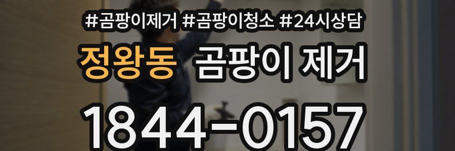 정왕동 곰팡이 제거