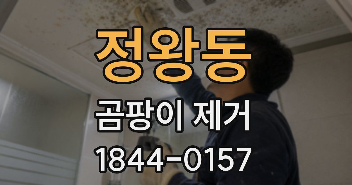 정왕동 곰팡이 제거