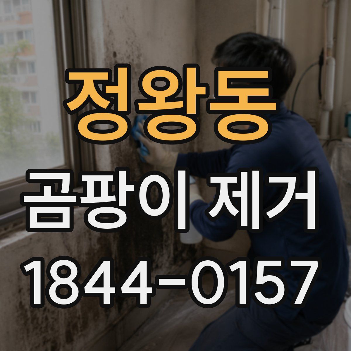 정왕동 곰팡이 제거