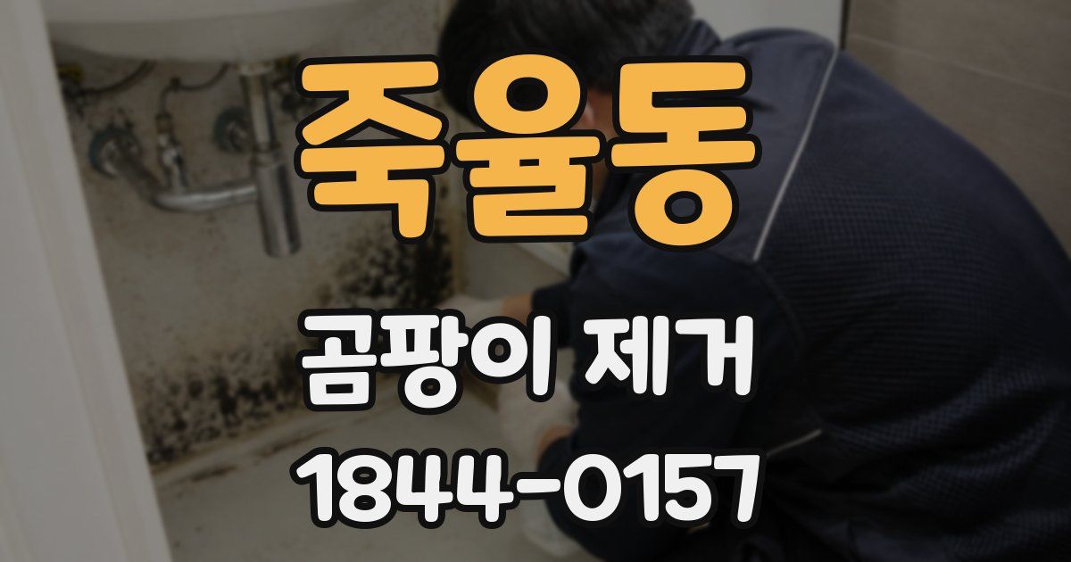 죽율동 곰팡이 제거