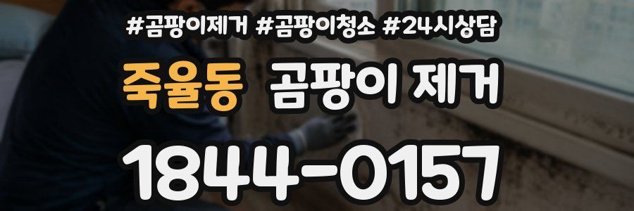 죽율동 곰팡이 제거