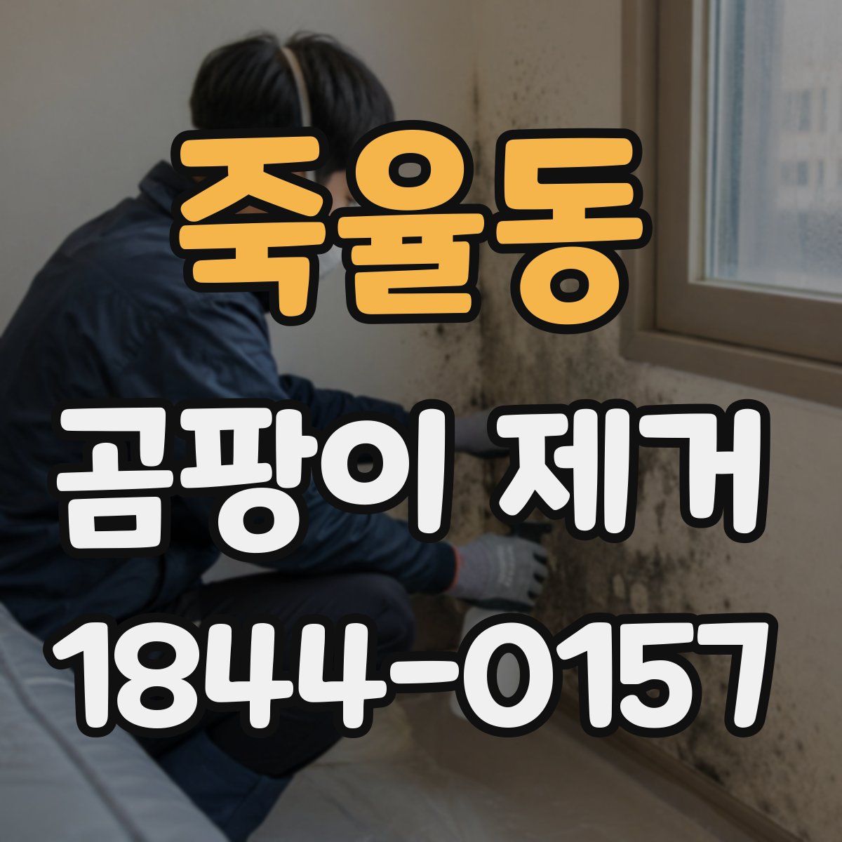 죽율동 곰팡이 제거