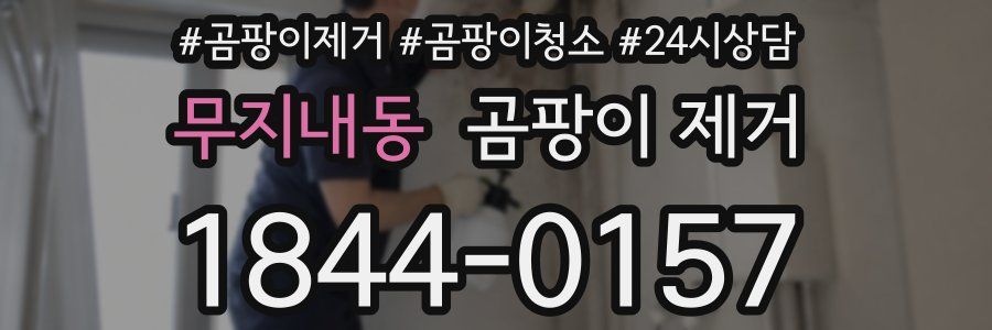 무지내동 곰팡이 제거
