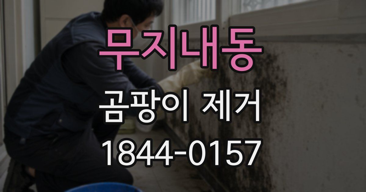 무지내동 곰팡이 제거