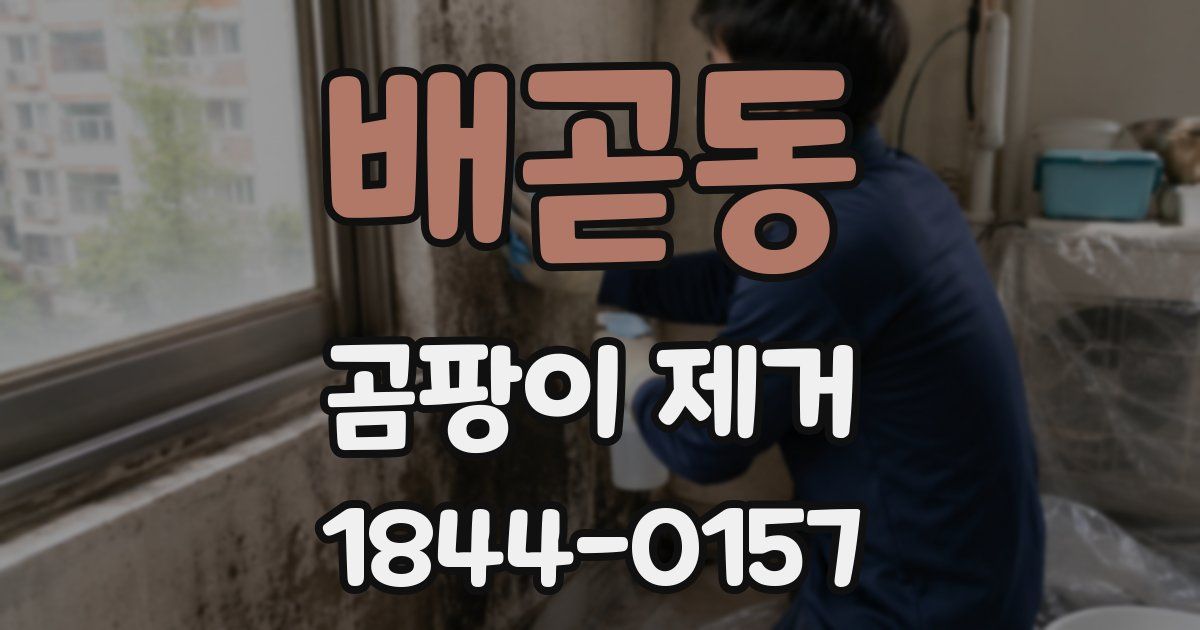 배곧동 곰팡이 제거