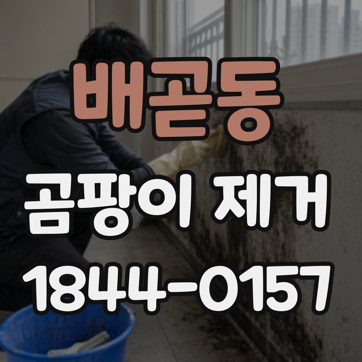 배곧동 곰팡이 제거