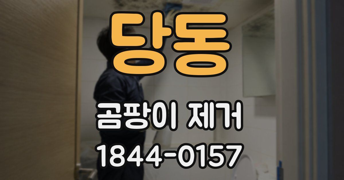 당동 곰팡이 제거