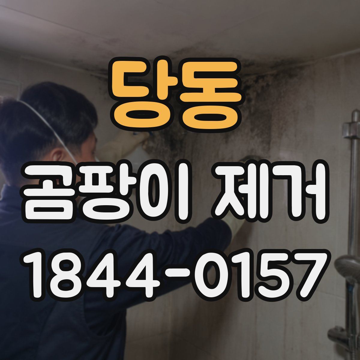 당동 곰팡이 제거