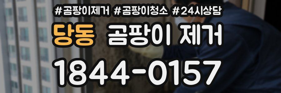 당동 곰팡이 제거