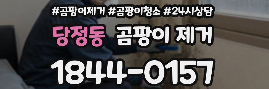 당정동 곰팡이 제거