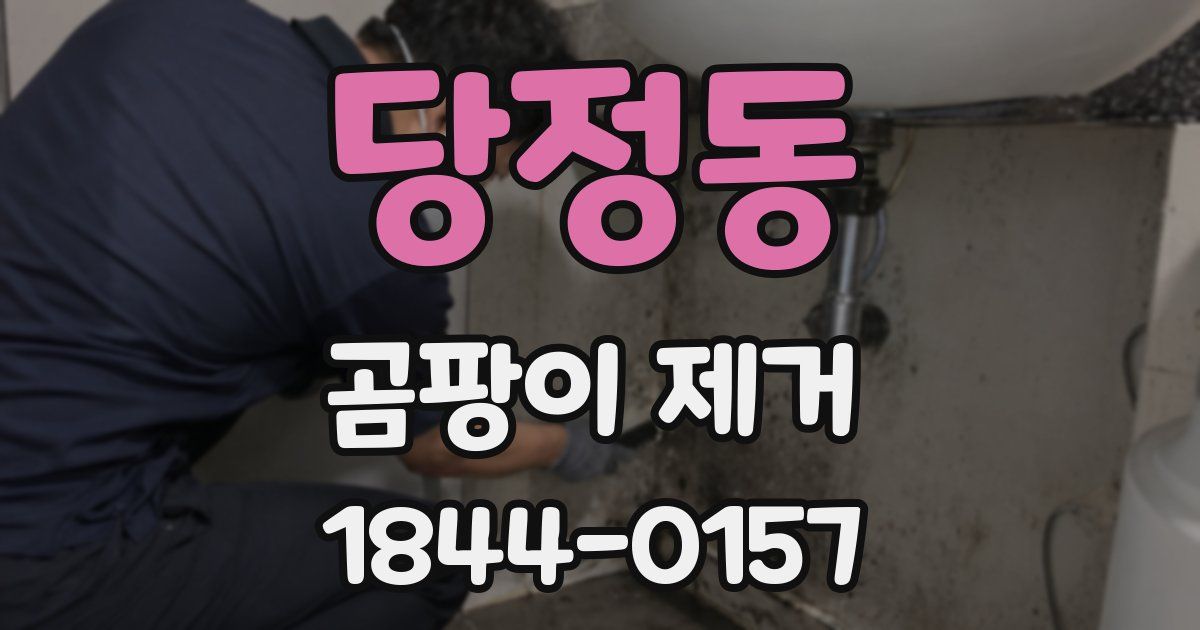 당정동 곰팡이 제거