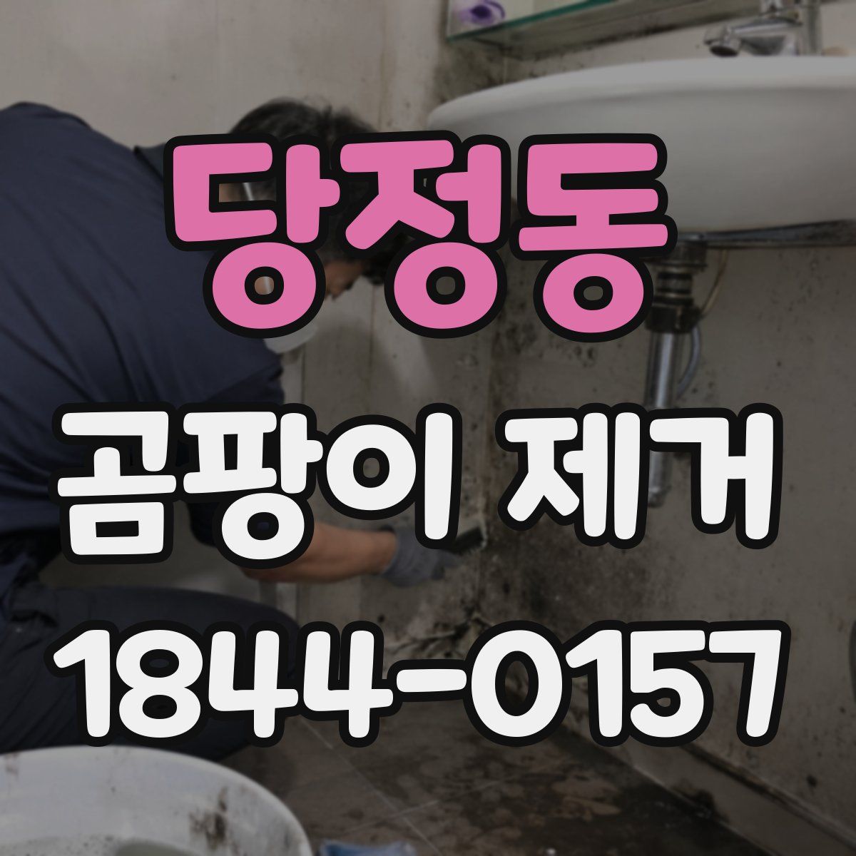 당정동 곰팡이 제거