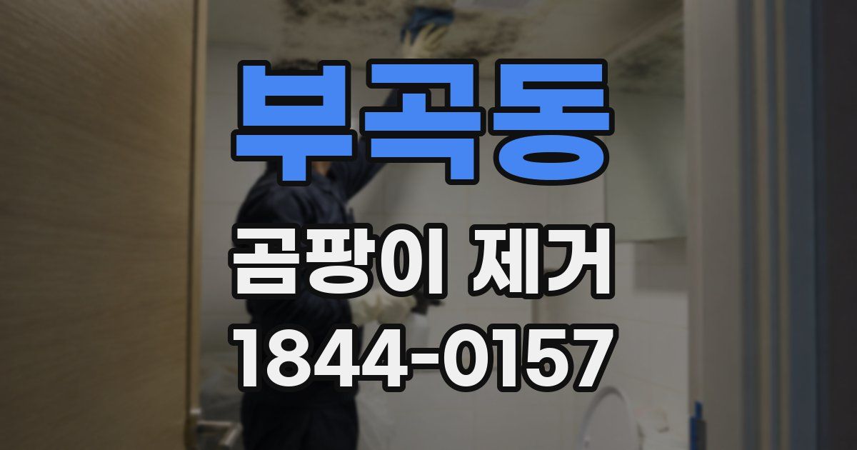 부곡동 곰팡이 제거