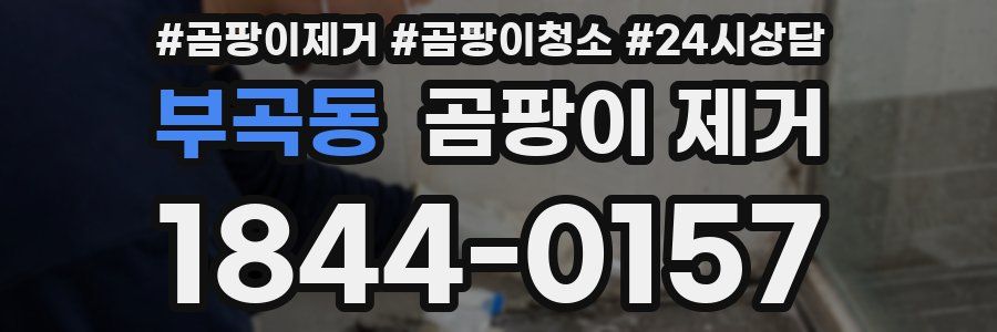 부곡동 곰팡이 제거