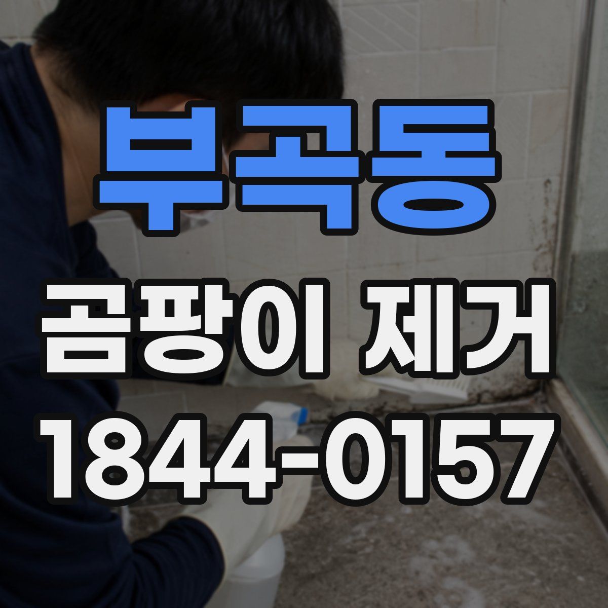 부곡동 곰팡이 제거