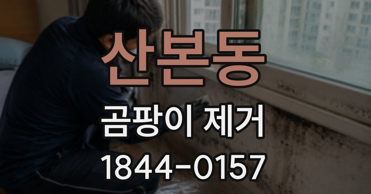 산본동 곰팡이 제거