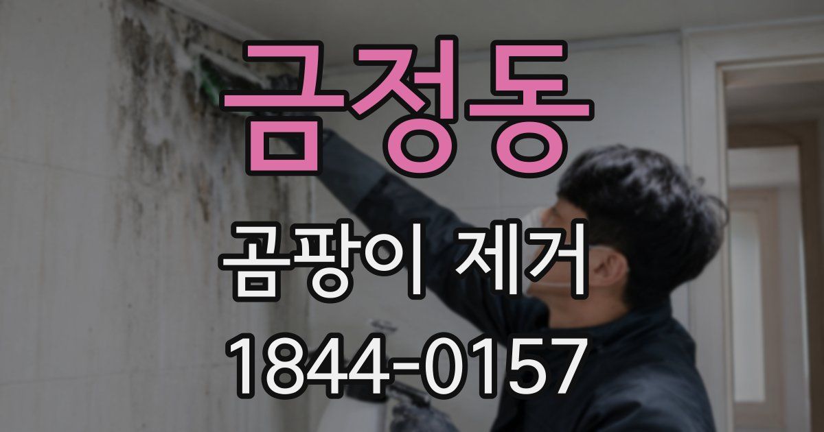 금정동 곰팡이 제거