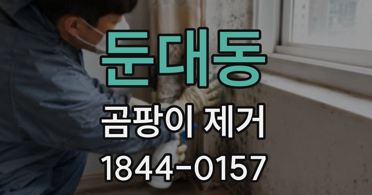 둔대동 곰팡이 제거