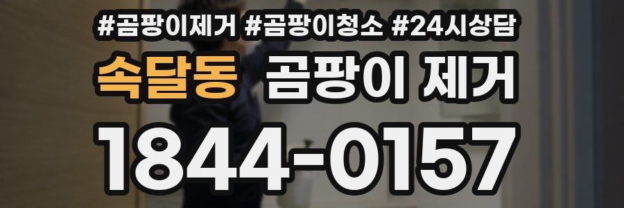 속달동 곰팡이 제거