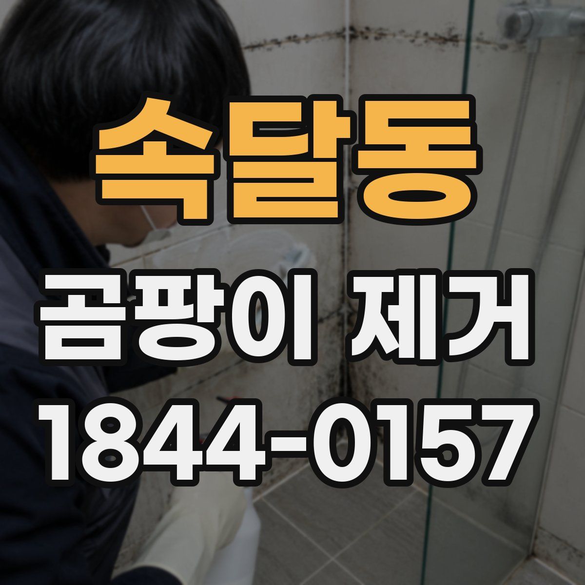 속달동 곰팡이 제거