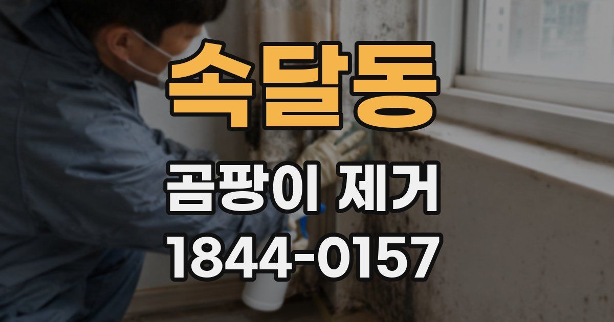 속달동 곰팡이 제거