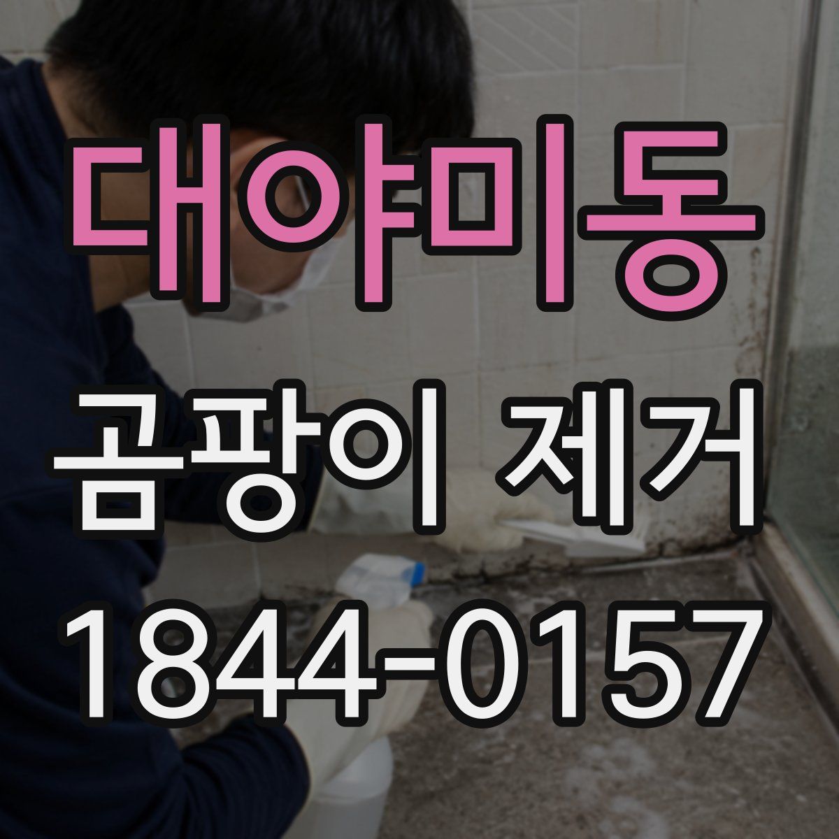 대야미동 곰팡이 제거