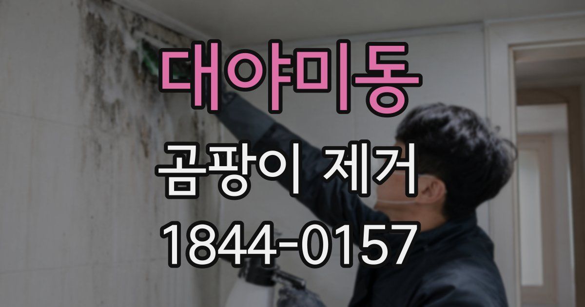 대야미동 곰팡이 제거