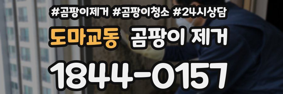도마교동 곰팡이 제거