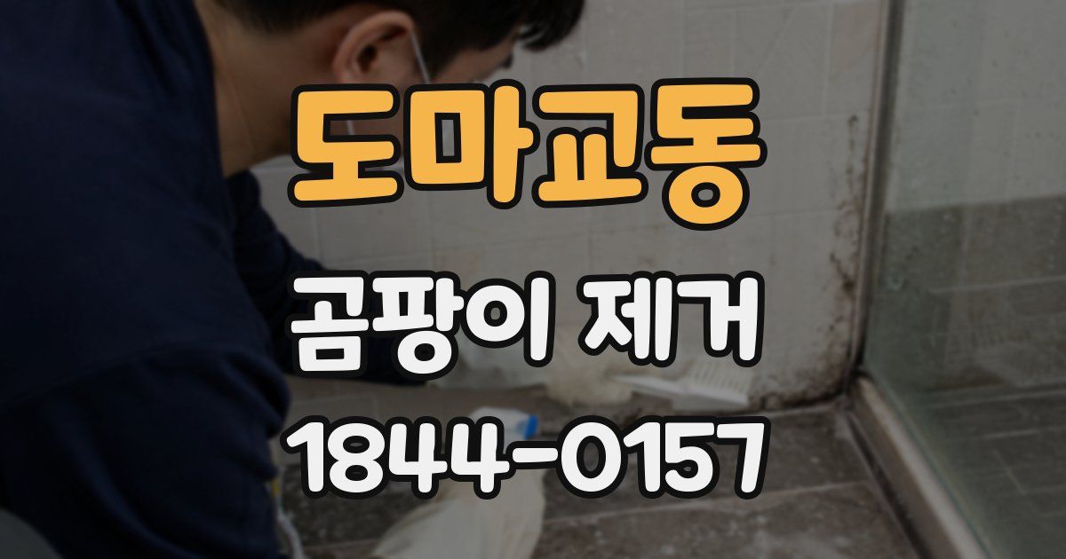 도마교동 곰팡이 제거