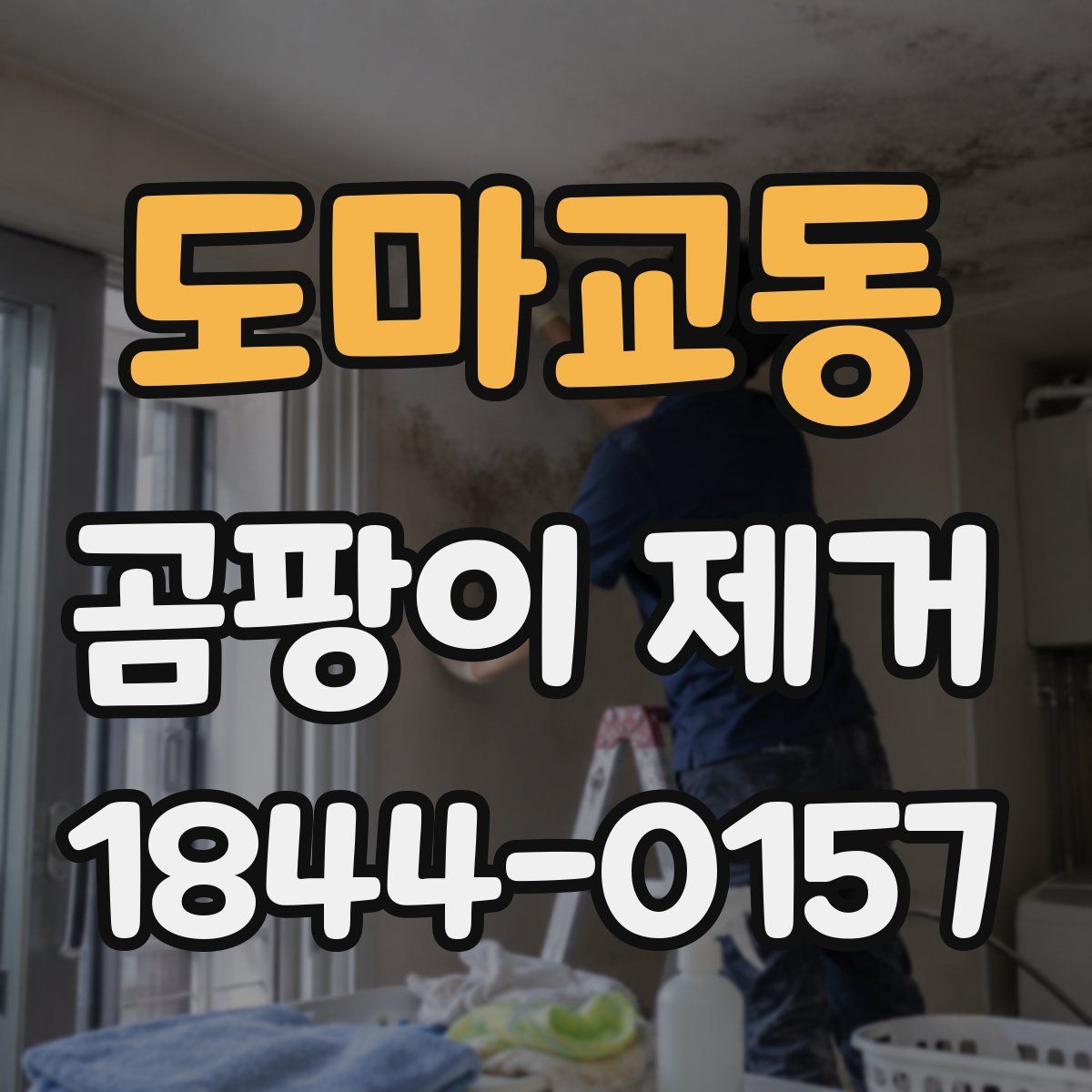 도마교동 곰팡이 제거