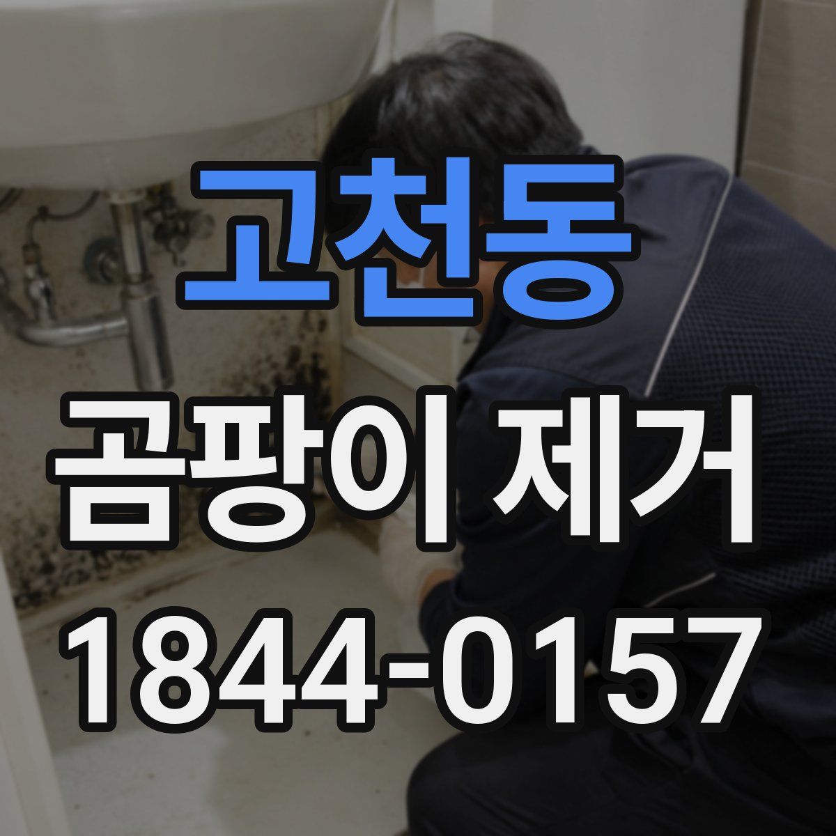 고천동 곰팡이 제거