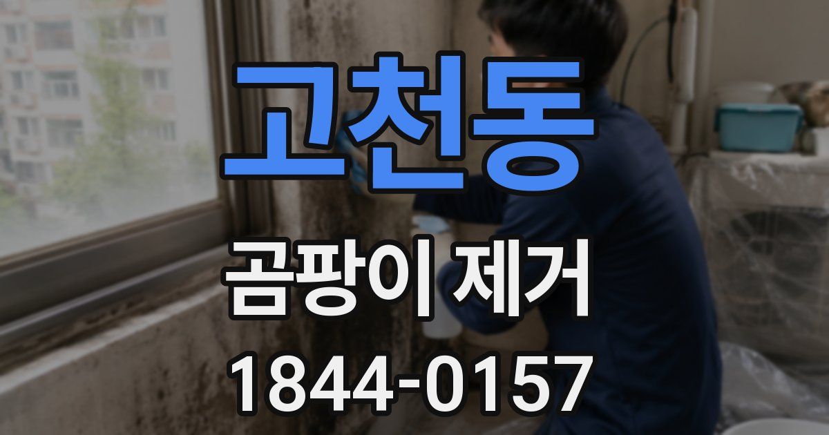고천동 곰팡이 제거