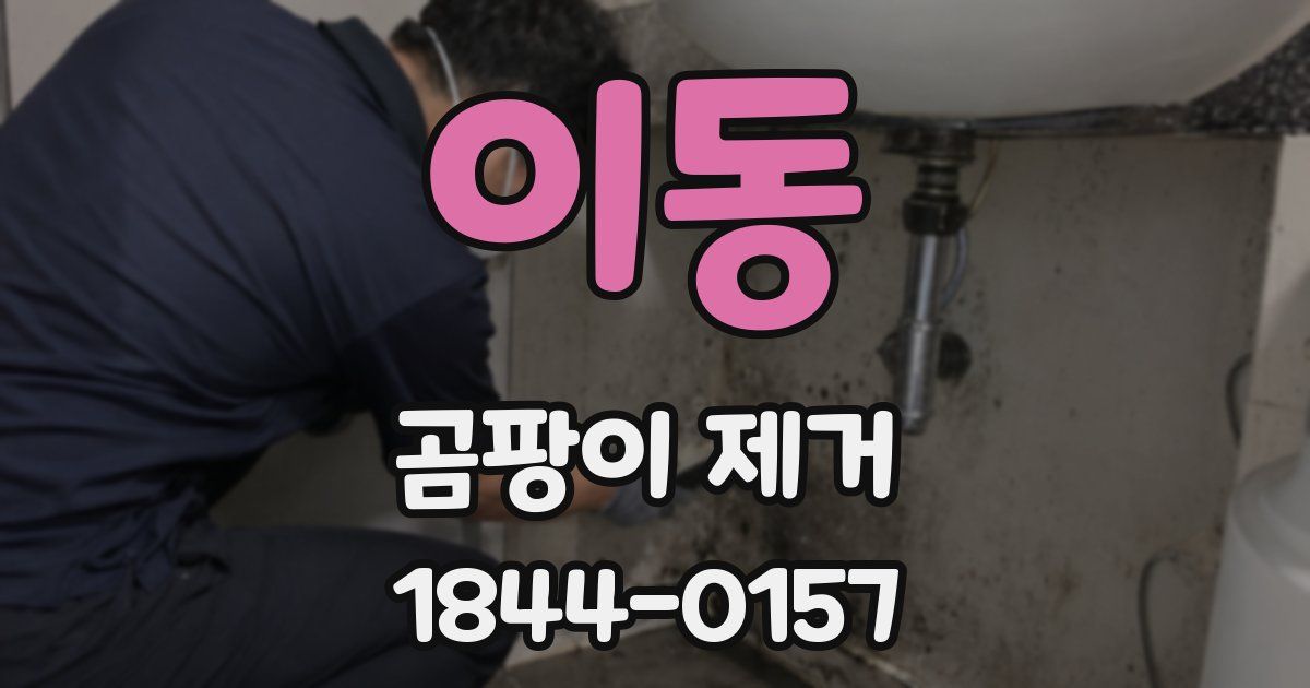 이동 곰팡이 제거