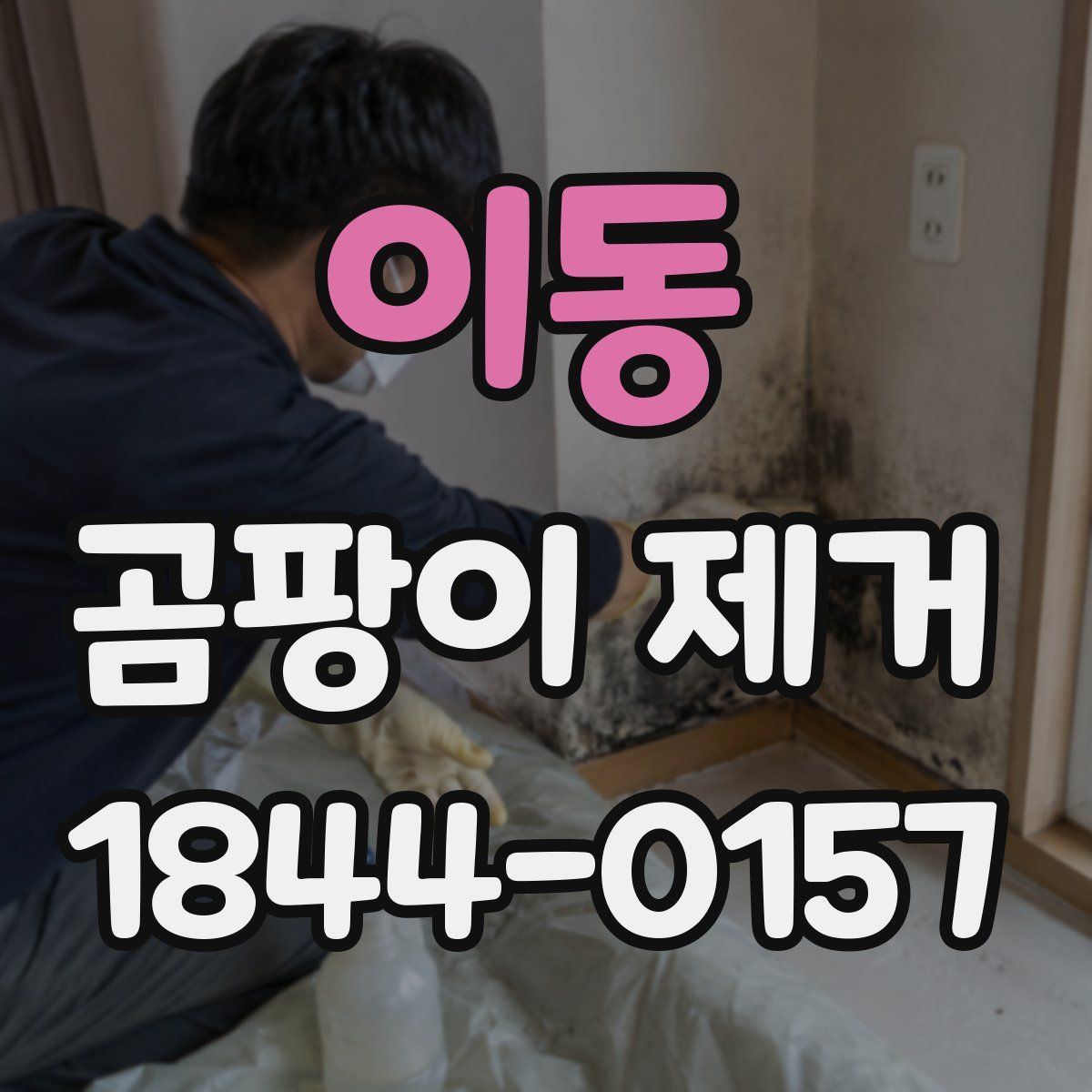 이동 곰팡이 제거