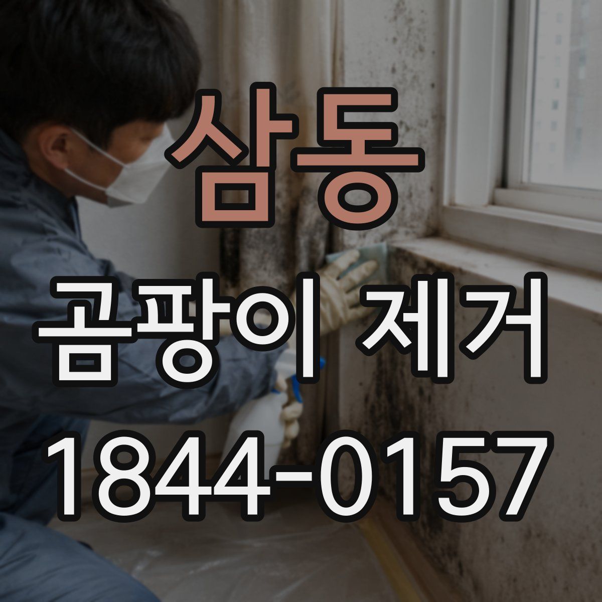 삼동 곰팡이 제거